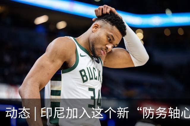 动态 | 印尼加入这个新“防务轴心”，印度深感恐慌！