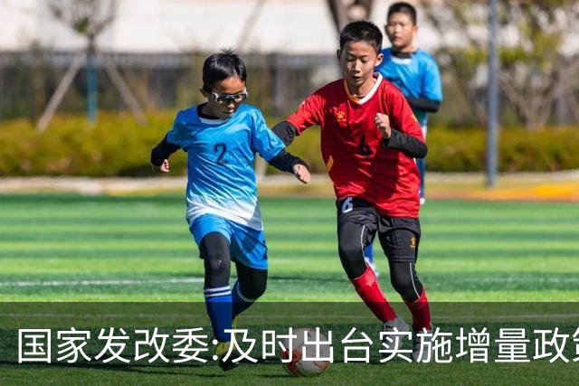 国家发改委:及时出台实施增量政策