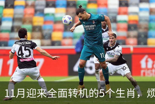11月迎来全面转机的5个生肖，烦心事慢慢消失，财富爱情接连落地